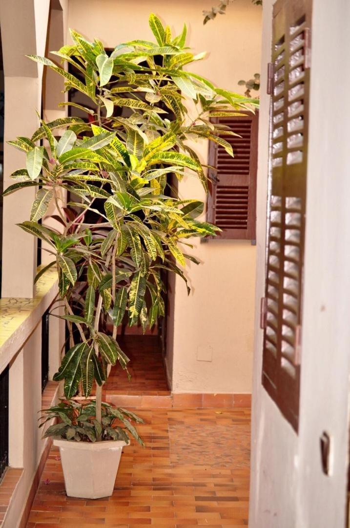 Chez Titi Otel Saint-Louis Dış mekan fotoğraf
